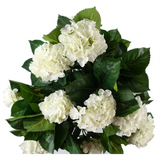 75cm Artificial White Bush Hydrangea Plant Potted