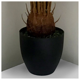 70cm Artificial Tropical Cycas Palm Plant