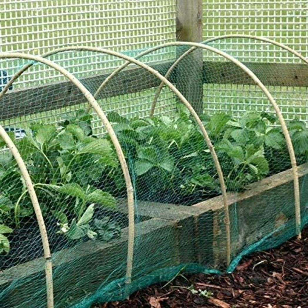 Garden Habitats Anti-Bird Garden Netting, 2m x 10m Rolls, Pack of 12 – Fine Mesh Plant, Pond & Crop Protection