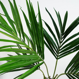 Leaf 120cm Artificial Kentia Palm Tree with Silk Leaves – Weighted Black Pot, Realistic Indoor Plant