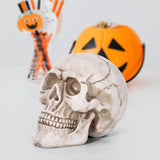 Vinsani Life-Size Resin Halloween Skull Replica, 20 x 15 x 15cm – Realistic Gothic Decoration and Costume Prop