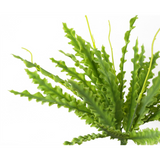 40cm Artificial Crocodile Fern Plant