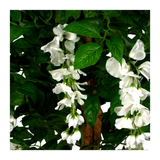 130cm Luxury Artificial Wisteria Tree White Flowers Premium Range