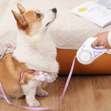 Flexi Retractable Dog Leash with 3 LED Light Settings, 5m Length – Night Walk Lead for Dogs up to 50kg