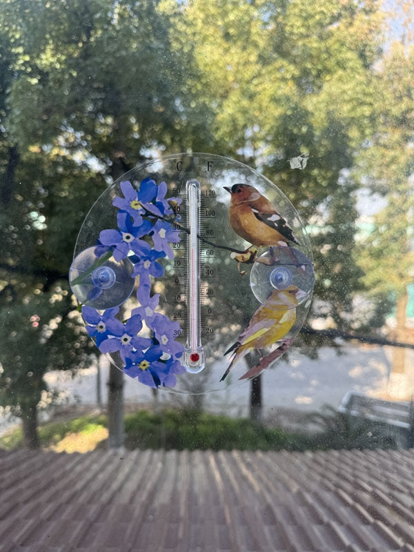 Avilo Outdoor Window Thermometer – Edwardian Ornithological Bird Illustrations, Garden Window Decor