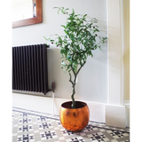 120cm Artificial Olive Tree with Realistic Olives – Natural Style Potted Faux Tree with Wired Stems
