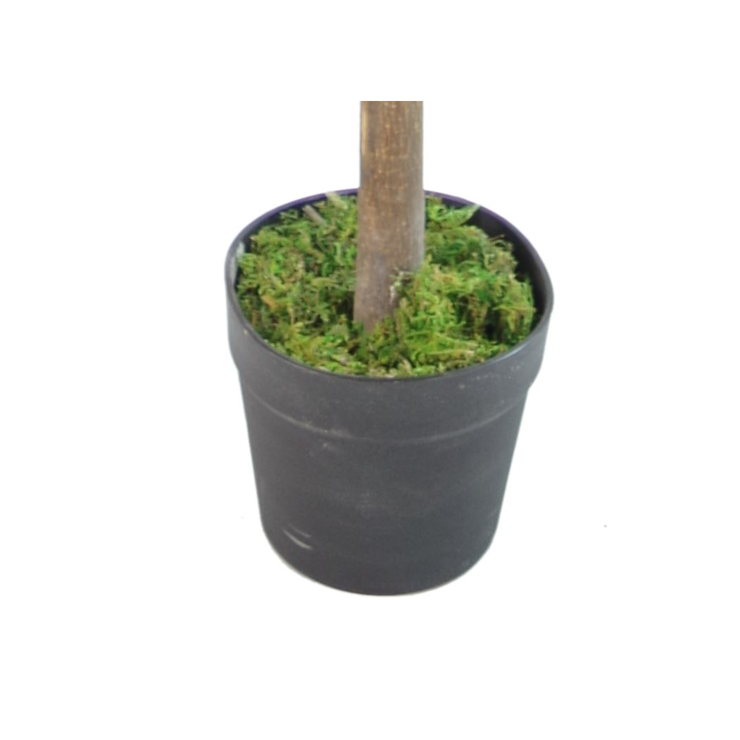 Leaf Design UK Artificial Red and Green Ficus Tree in Black Pot, 130cm