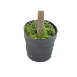 Leaf Design UK Artificial Red and Green Ficus Tree in Black Pot, 130cm
