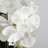 60cm Pure White Artificial Orchid with Ceramic Bubble Planter