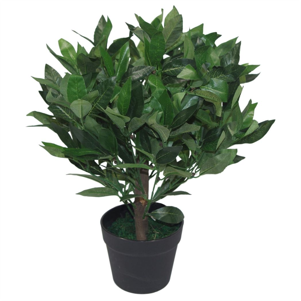 Pair of 50cm Dwarf Artificial Bay Trees – Realistic Laurel Topiary Bushes, Potted, Low Maintenance