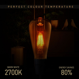 Ledsone 5 Pack E27 ST64 Vintage LED Edison Bulbs, 6W Dimmable Warm White 2700K – Amber Glass Filament