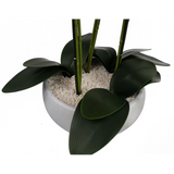 60cm Orchid Artificial Black – White Ceramic Planter