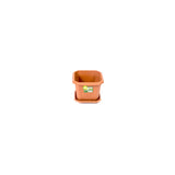 No. 0 Square Plastic Plant Pot with Base – Indoor Outdoor Garden Planter