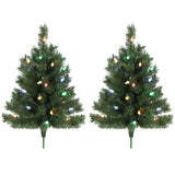 HOMCOM Set of 2 Pre-Lit 60 cm Outdoor Christmas Trees with Ground Stakes and 60 Multicolour LEDs, Green