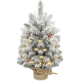 HOMCOM 60 cm Prelit Tabletop Christmas Tree with 35 LEDs and Timer – Snow Flocked Mini Tree, Battery Operated