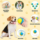 Scooby-Doo Squeaky Dog Balls, Set of 8 – Durable TPR Interactive Chew and Fetch Toys, Assorted Colours