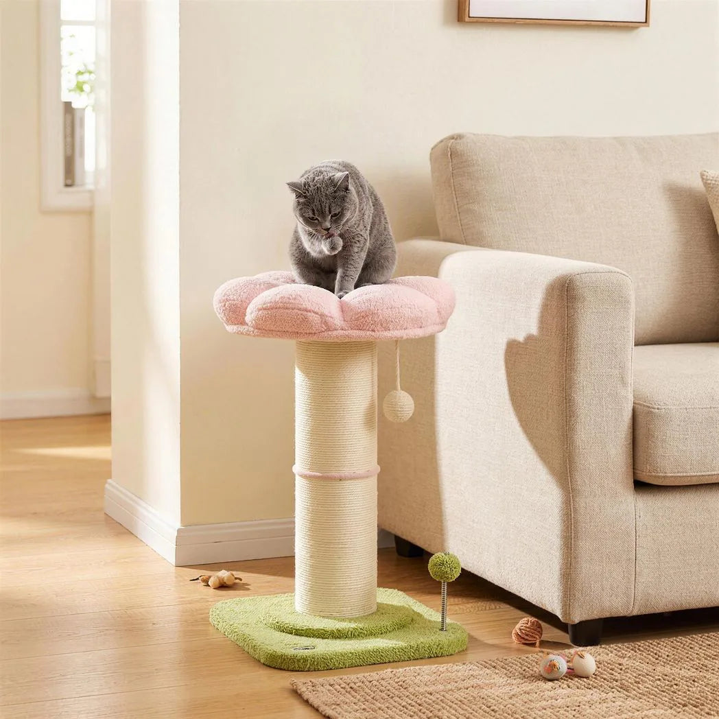 PawHut Flower Cat Tree with Thick Sisal Scratching Post, Dangling and Spring Balls – Compact Activity Centre