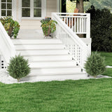 HOMCOM 60 cm Artificial Cypress Tree with Ground Stake, Set of 2 Artificial Plants for Indoor & Outdoor