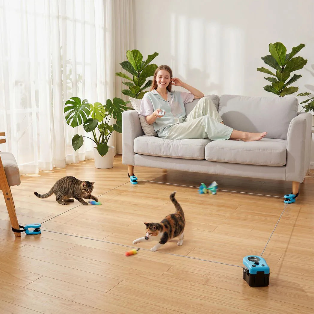 PawHut Interactive Cat Toy for Indoor Cats with Remote Control, Adjustable Speed, DIY Track and Mouse Sound
