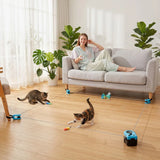 PawHut Interactive Cat Toy for Indoor Cats with Remote Control, Adjustable Speed, DIY Track and Mouse Sound