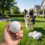 PawHut 6 Pack ETPU Dog Balls, 58mm – Bite-Resistant Floating Fetch and Chew Toys for Small and Medium Dogs