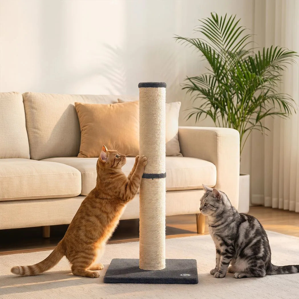 PawHut Cat Scratching Post, 80cm Tall with Sisal Rope & Plush Base – Lightweight Claw Scratcher