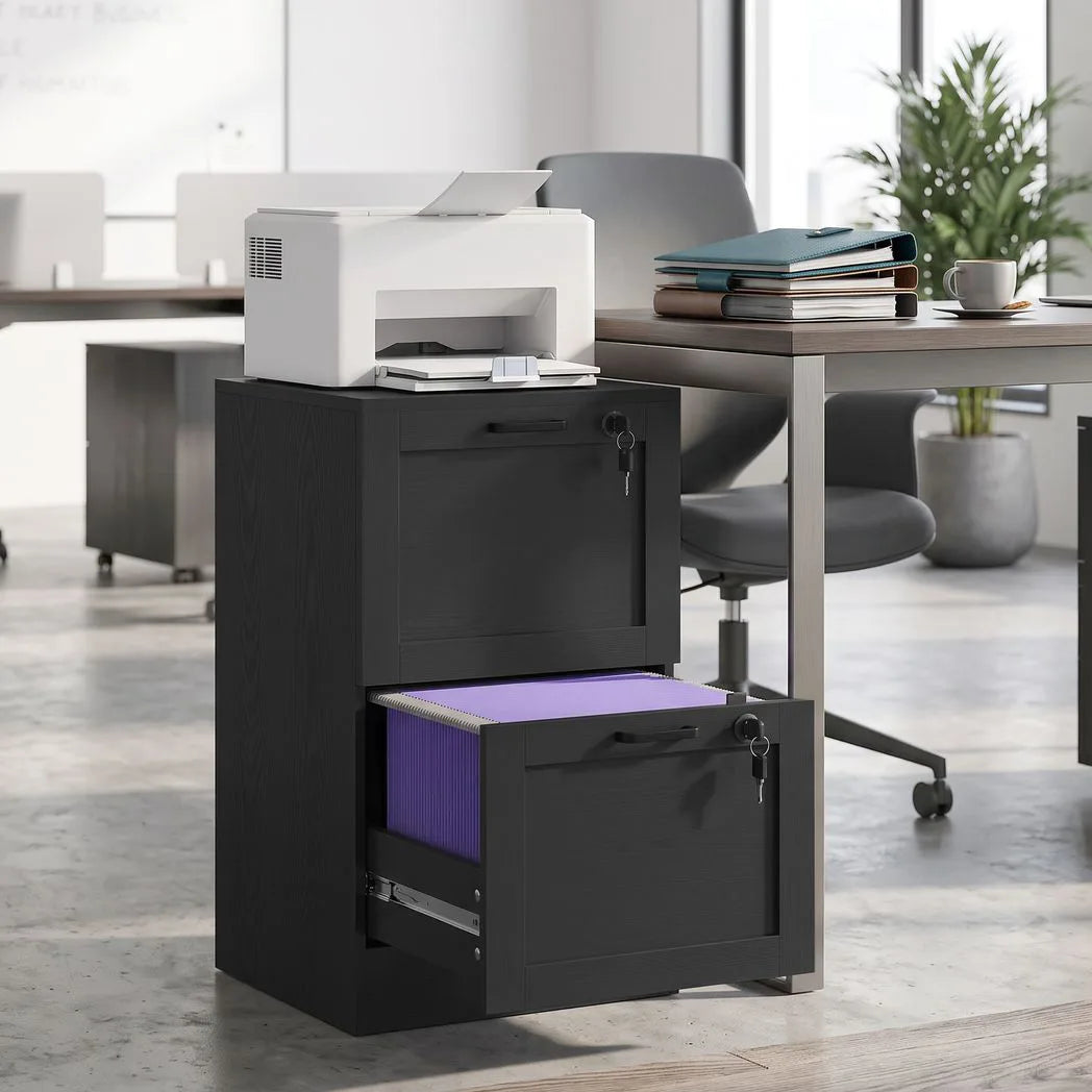 HOMCOM 2-Drawer Lockable Filing Cabinet with Adjustable Hanging Rails – Compact Home Office Storage, Black