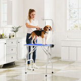 PawHut 32-Inch Foldable Dog Grooming Table with Adjustable Arm and Rubber Top – Pet Drying Table, Blue