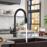 Modern Black Kitchen Sink Mixer Tap with Pull-Out Spray, 360-Degree Swivel and Single Lever – Brass Mono Tap