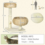 PawHut 72cm Cat Tree with Sisal Scratching Post, Two Beds & Toy Ball – Kitten Activity Tower, Beige