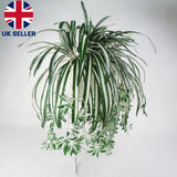 Hanging Artificial Spider Plant (Chlorophytum)