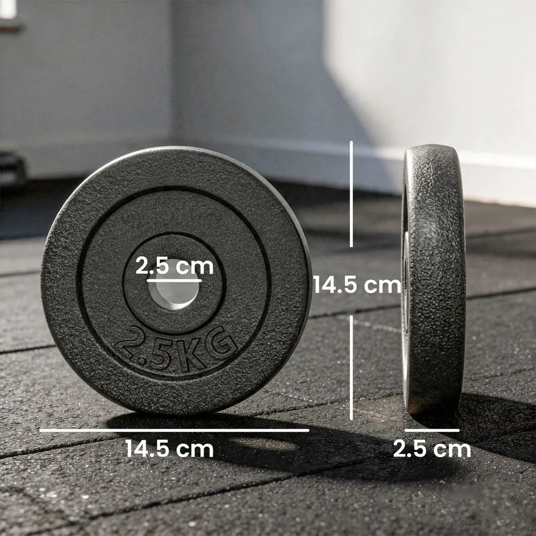 SPORTNOW Weight Plates Set, 4 x 2.5kg with 1in/2.5cm Hole – Metal Dumbbell & Barbell Plates for Home Gym