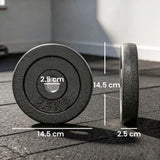 SPORTNOW Weight Plates Set, 4 x 2.5kg with 1in/2.5cm Hole – Metal Dumbbell & Barbell Plates for Home Gym