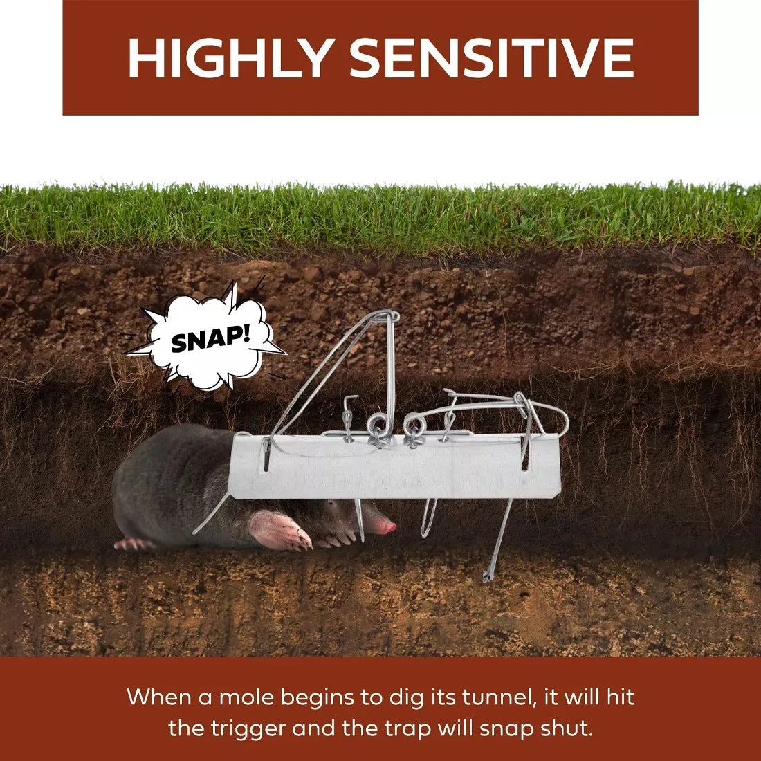 Pack of 5 Tunnel Mole Traps – Rust-Resistant Reusable Quick-Kill Garden Mole Control, Silver