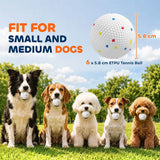 PawHut 6 Pack ETPU Dog Balls, 58mm – Bite-Resistant Floating Fetch and Chew Toys for Small and Medium Dogs