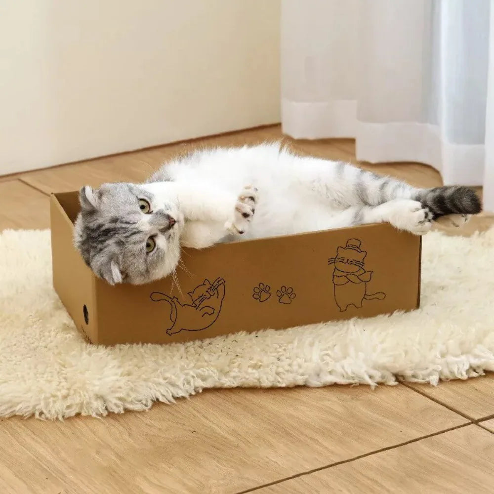 5-Pack Cat Box Scratcher with Storage Box – Heavy Duty Corrugated Cardboard Scratching Board and Bed