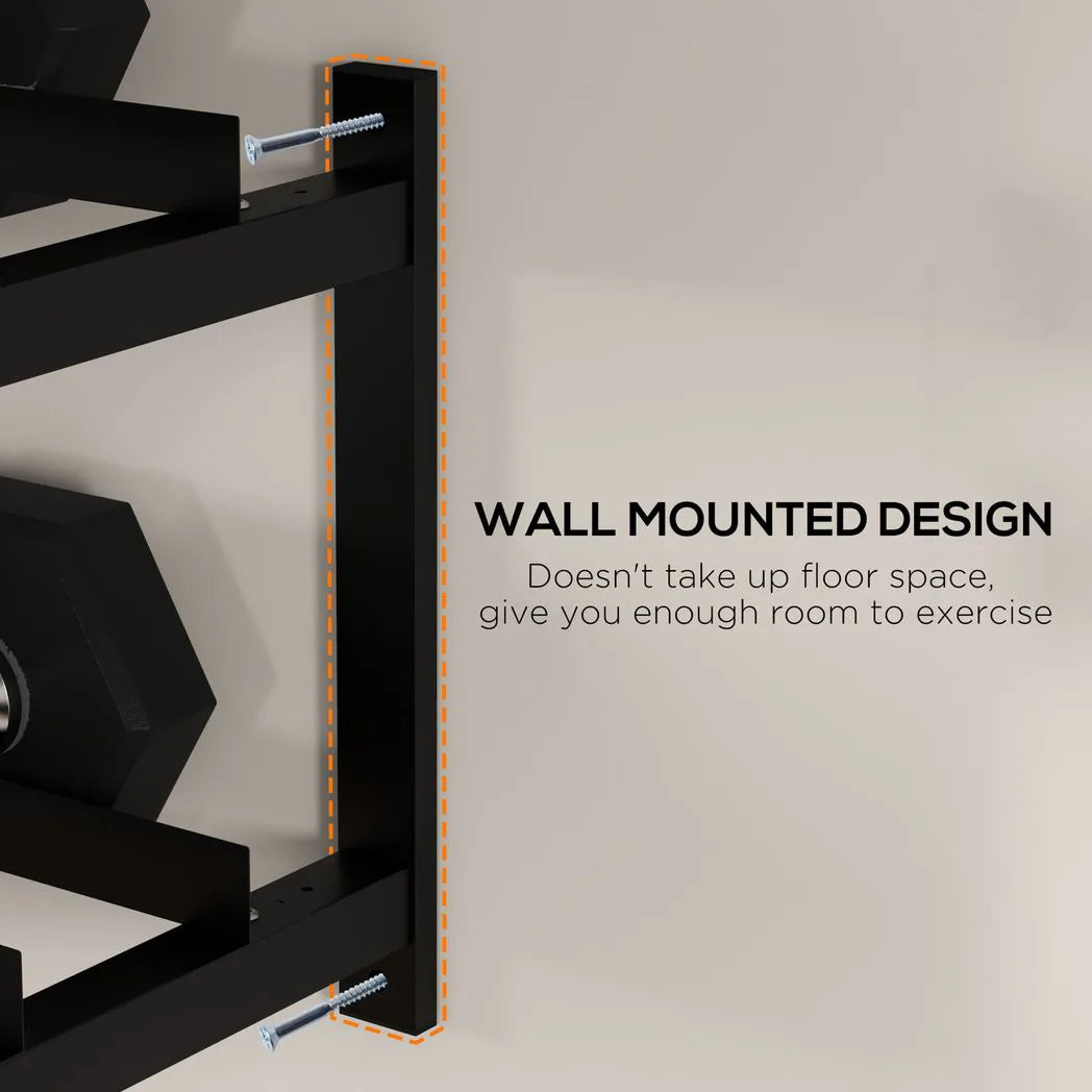SPORTNOW Wall-Mounted Dumbbell Rack, 2-Tier Steel Weight Stand, 70kg Capacity – Home Gym Storage, Black