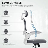 HOMCOM Mesh Back Office Chair with Lumbar Support, Removable Headrest and Flip-Up Armrests – Charcoal Grey