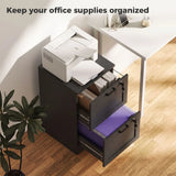 HOMCOM 2-Drawer Lockable Filing Cabinet with Adjustable Hanging Rails – Compact Home Office Storage, Black
