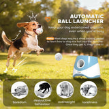PawHut Automatic Dog Ball Launcher with 5 ETPU Balls, 6/10/14m Settings – Rechargeable Fetch Toy, Blue
