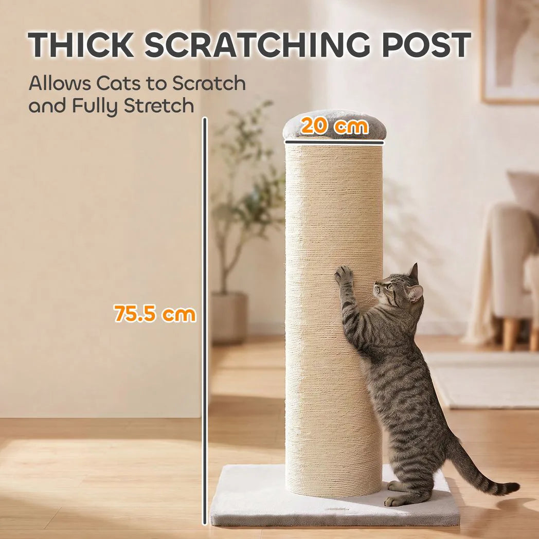 PawHut Cat Scratching Post, 76cm Tall Sisal Scratcher for Indoor Cats with Stable Base – Beige
