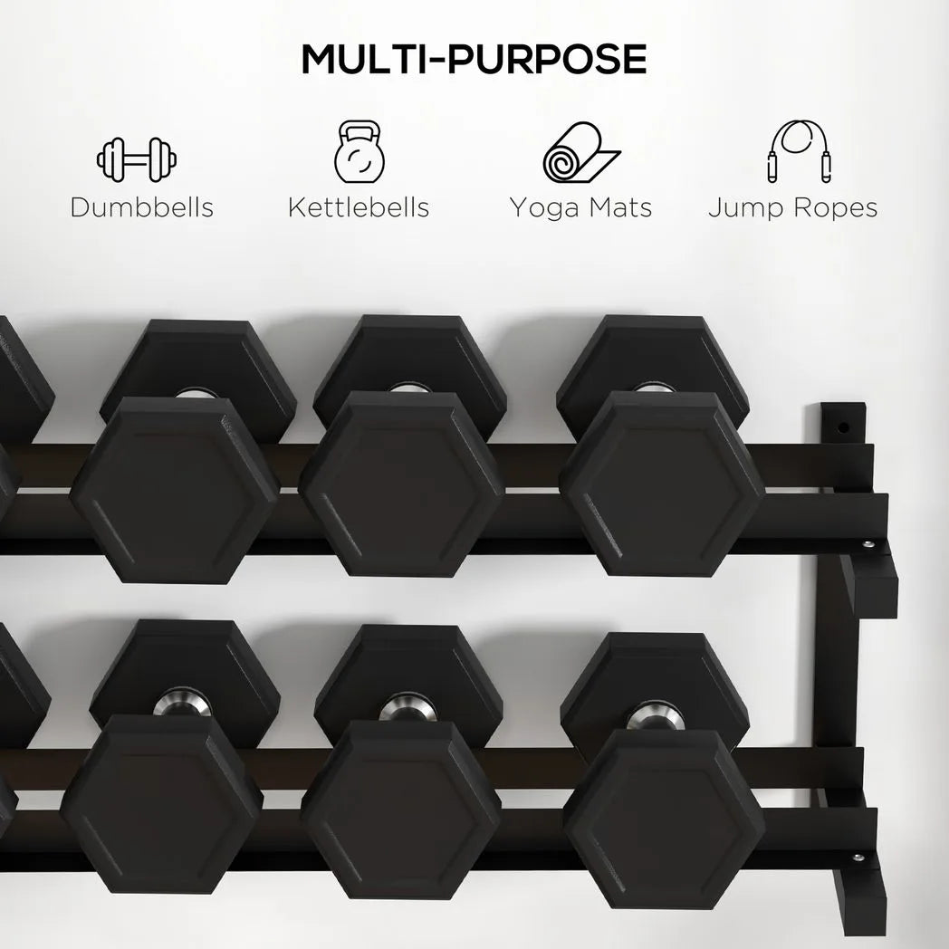 SPORTNOW Wall-Mounted Dumbbell Rack, 2-Tier Steel Weight Stand, 70kg Capacity – Home Gym Storage, Black