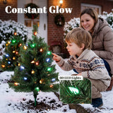 HOMCOM Set of 2 Pre-Lit 60 cm Outdoor Christmas Trees with Ground Stakes and 60 Multicolour LEDs, Green