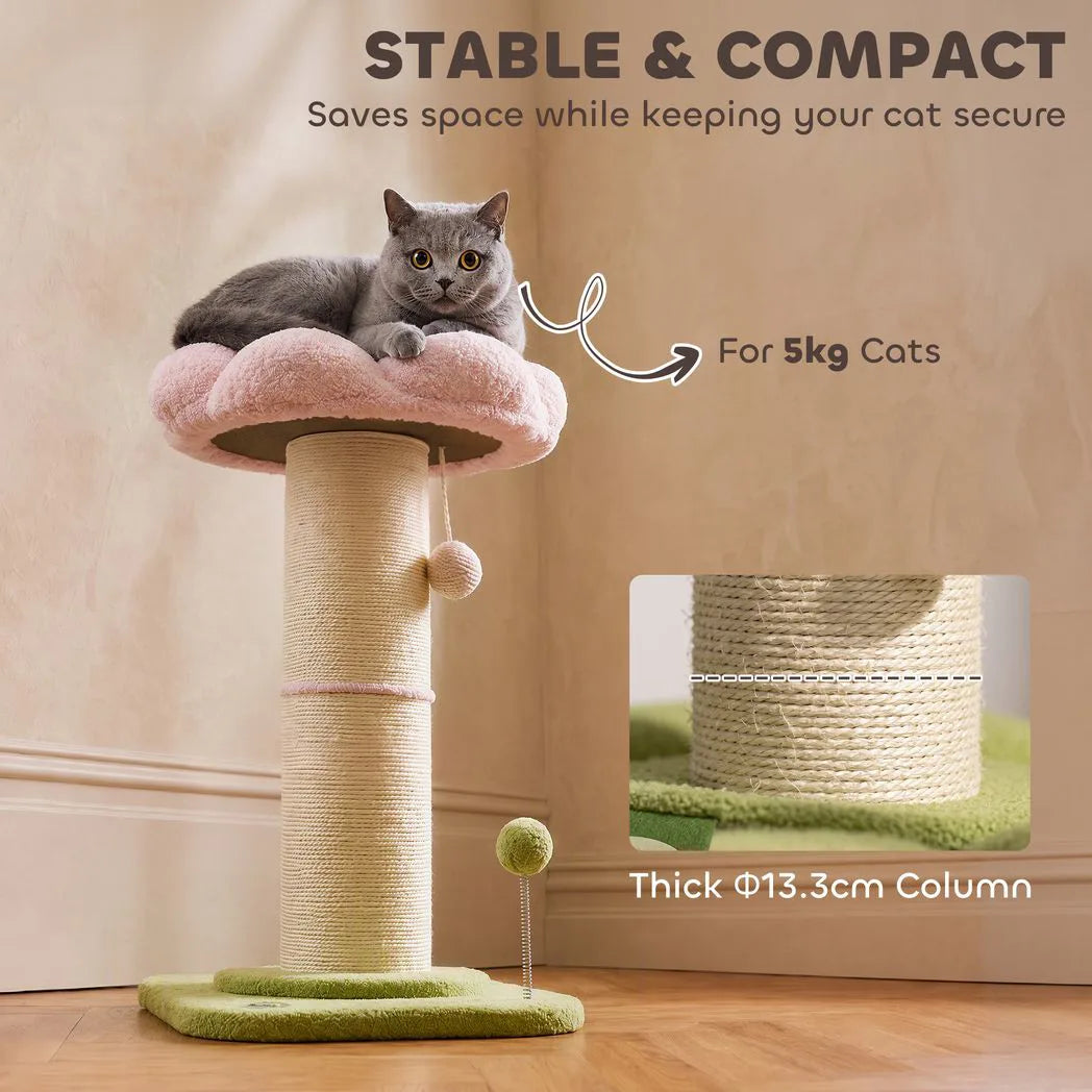 PawHut Flower Cat Tree with Thick Sisal Scratching Post, Dangling and Spring Balls – Compact Activity Centre