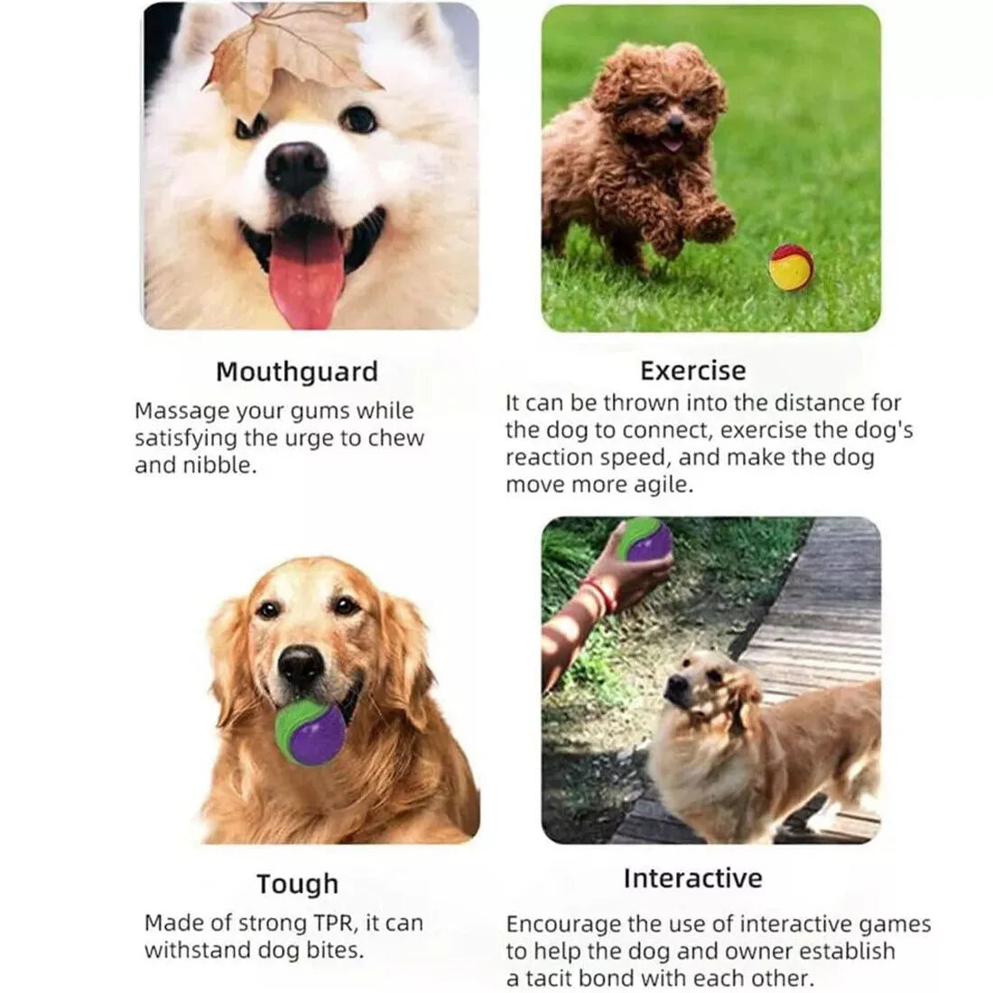 Scooby-Doo Squeaky Dog Balls, Set of 8 – Durable TPR Interactive Chew and Fetch Toys, Assorted Colours