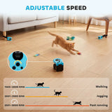 PawHut Interactive Cat Toy for Indoor Cats with Remote Control, Adjustable Speed, DIY Track and Mouse Sound