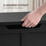 HOMCOM 127L Storage Chest Bench with Safety Hinges – Seat Trunk for Bedroom and Hallway, Black