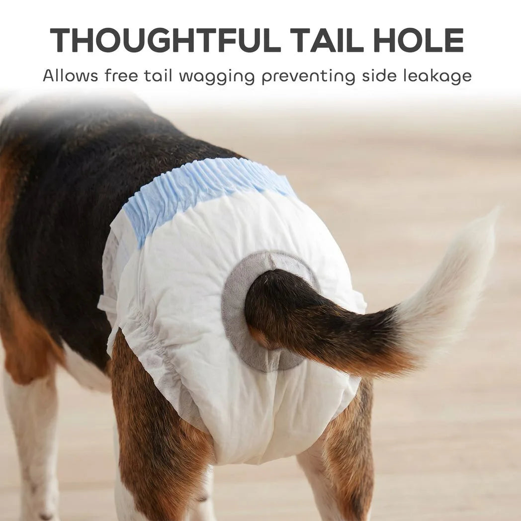 PawHut Disposable Female Dog Nappies for Large Dogs, 48 Count – Leakproof, Incontinence and Training