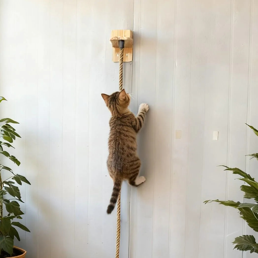 1.5m Wall-Mounted Cat Climbing & Scratching Rope Post – Pine Wood & Hemp Rope