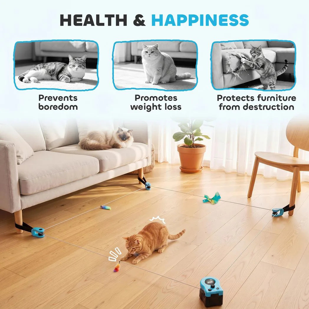 PawHut Interactive Cat Toy for Indoor Cats with Remote Control, Adjustable Speed, DIY Track and Mouse Sound